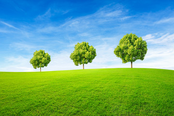 Fototapeta na wymiar Green tree and grass field with white clouds