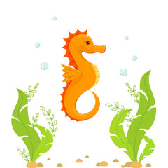 Seahorse and Algae Under Water