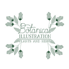 botanical illustration label with plants and herbs
