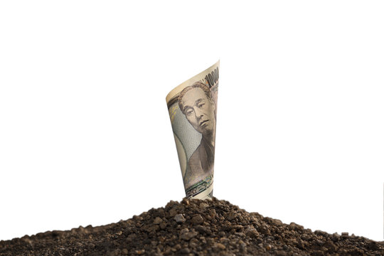 Image of Japanese yen banknote on top of soil for business, saving, growth, economic concept isolated on white background