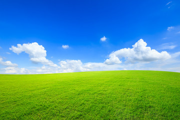 Green grass and blue sky with white clouds