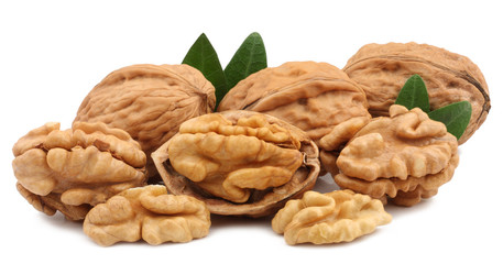 Walnuts isolated on white background
