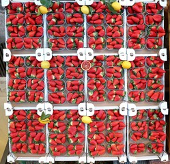 Strawberry boxes with decorative lemons and an half orange between them, at the fruit market. Food...