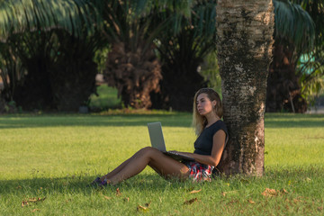 young beautiful woman in black top with laptop on her knees sits under palm