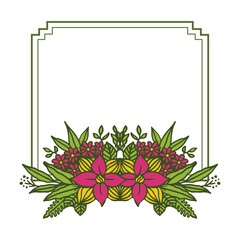 Vector illustration green leaf flower frames blooms hand drawn