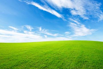 Green grass and blue sky with white clouds