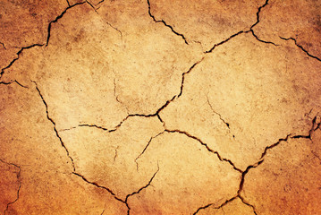 Grunge dried ground