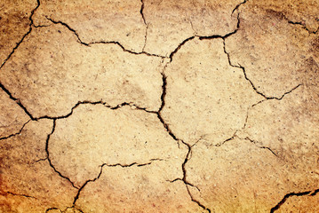 Cracked ground