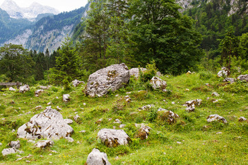 Big stones lie on the green grass