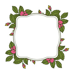 Vector illustration decoration leaf flower frames hand drawn