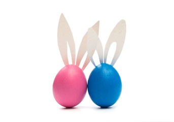 easter eggs with bunny ears  isolated