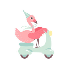 Cute Flamingo Riding Scooter Wearing Party Hat, Beautiful Exotic Bird Character Vector Illustration