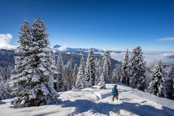 Fototapeta na wymiar Snowboarder freerider and beautiful landscape with pine trees covered with snow on background blue sky after snowfall on ski resort of the Caucasus mountains