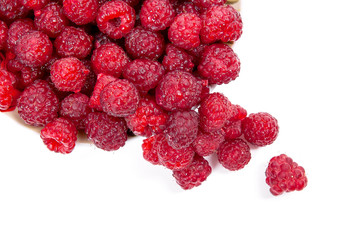 Harvested juicy ripe raspberries fruit on white background..