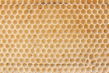 Section of wax honeycomb from beehive on the vintage wooden background. .