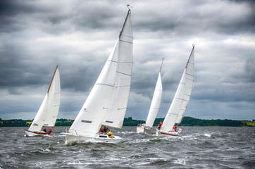 Regatta
