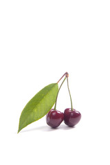 Red sweet cherry with green leaf isolate on white.