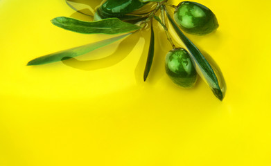 Organic olive oil and olives with leaves.