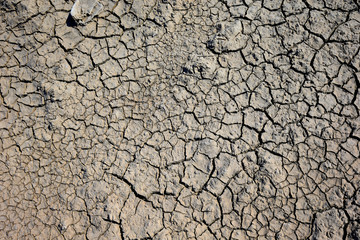 Climate warming dry chapped land