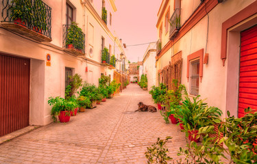Streets of Tarifa. Andalusia. Cadiz.Spain.