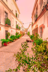 Fototapeta na wymiar Streets of Tarifa. Andalusia. Cadiz.Spain.