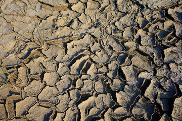 Climate warming dry chapped land