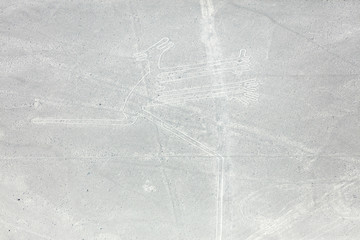 Nazca lines from the aircraft