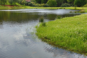 Lago en primavera