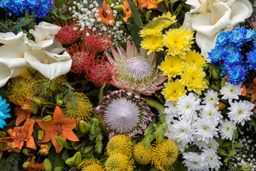 Beauty floristic decoration with colorful tropical flowers