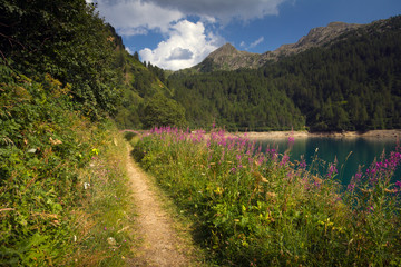 Lago Ritom, Valle di Piora, Quinto (Svizzera) - Alpi Lepontine © Alessandro Calzolaro