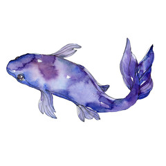 Aquatic underwater colorful tropical fish set. Watercolor background set. Isolated goldfish illustration element.