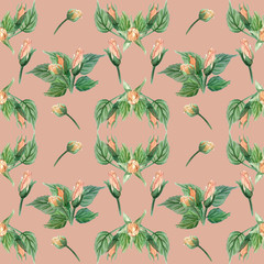 pink watercolor roses