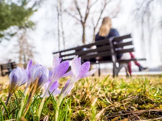 Stoff pro Meter Auszeit im Frühling auf einer Parkbank © Animaflora PicsStock