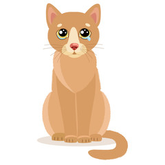 Sad Crying Cat Cartoon Vector Illustration. Sitting Cat With Tears. Crying Cat Face. Weep Homeless Pet. lat style Cartoon Illustration of Cute Sad Animal.