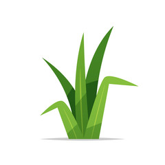 Grass vector isolated illustration