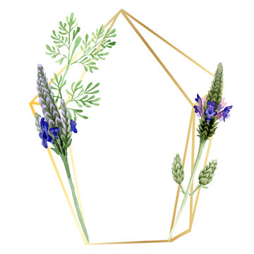 Blue violet lavender floral botanical flower. Watercolor background illustration set. Frame border ornament square.