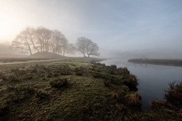Early morning mist hanging over a group of trees and the River Brathay between Elterwater and Skelwith Bridge (wide angle), Lake District, UK