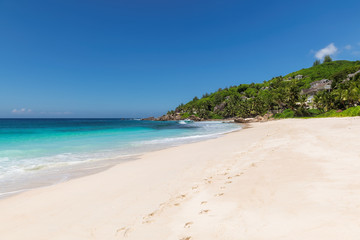 Fototapeta na wymiar Empty tropical beach on exotic island.