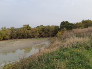 Dried pond "White Glinka"