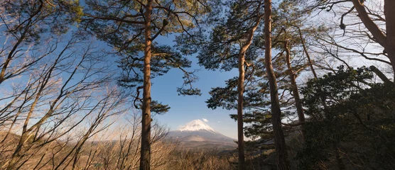 Foto auf Leinwand Beautiful Fuji mountain with cold wheather in the forrest along the way to view point © morkdam