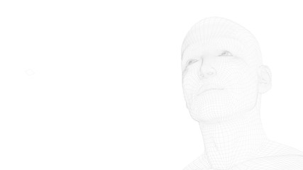head of a man in wireframe without hair, artificially generated face by a software, interpretation of the human face elaborated by a computer. Facial recognition. Image with white background