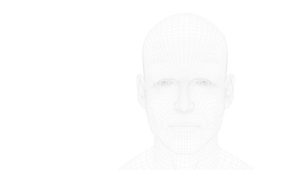 head of a man in wireframe without hair, artificially generated face by a software, interpretation of the human face elaborated by a computer. Facial recognition. Image with white background