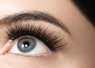 Eyes lashes woman closeup isolated on white macro