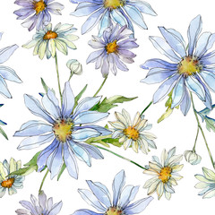 Daisy floral botanical flower. Watercolor background illustration set. Seamless background pattern.