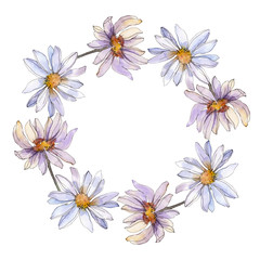 Daisy floral botanical flower. Watercolor background illustration set. Frame border ornament square.