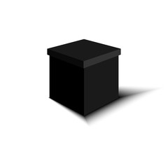 realistic black box