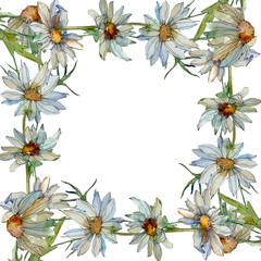 Naklejka premium Daisy floral botanical flower. Watercolor background illustration set. Frame border ornament square.