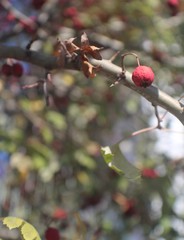 PAISAJES DE TRENTO ITALIA