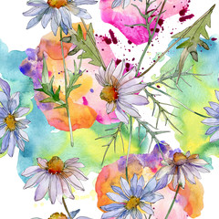Daisy and chamomile floral botanical flower. Watercolor background illustration set. Seamless background pattern.
