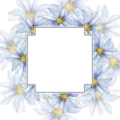 Daisy floral botanical flower. Watercolor background illustration set. Frame border ornament square.